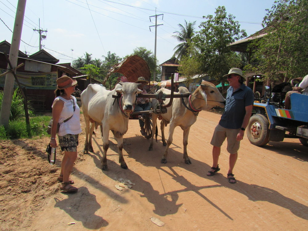 ox-cart