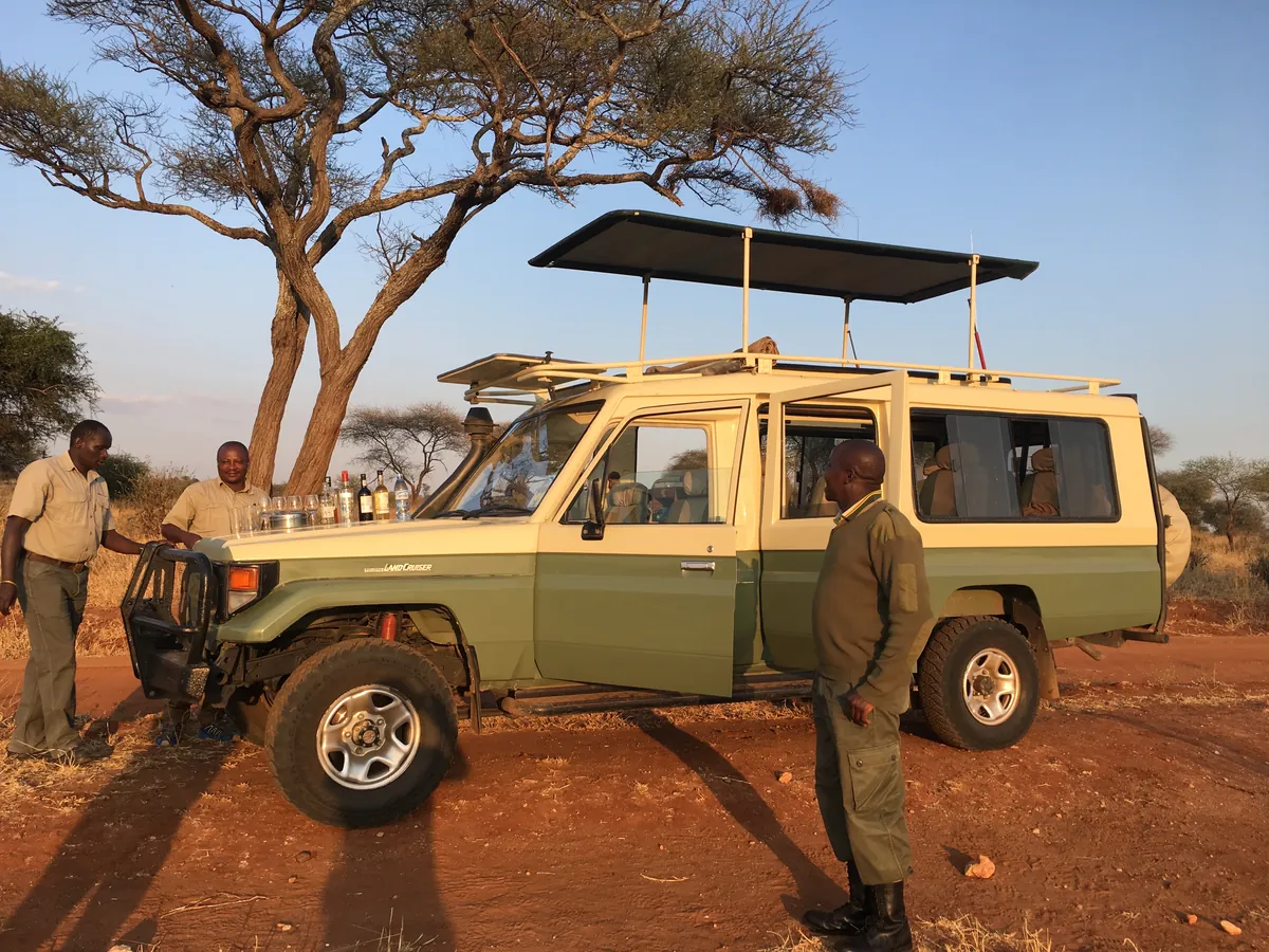 near the acacia