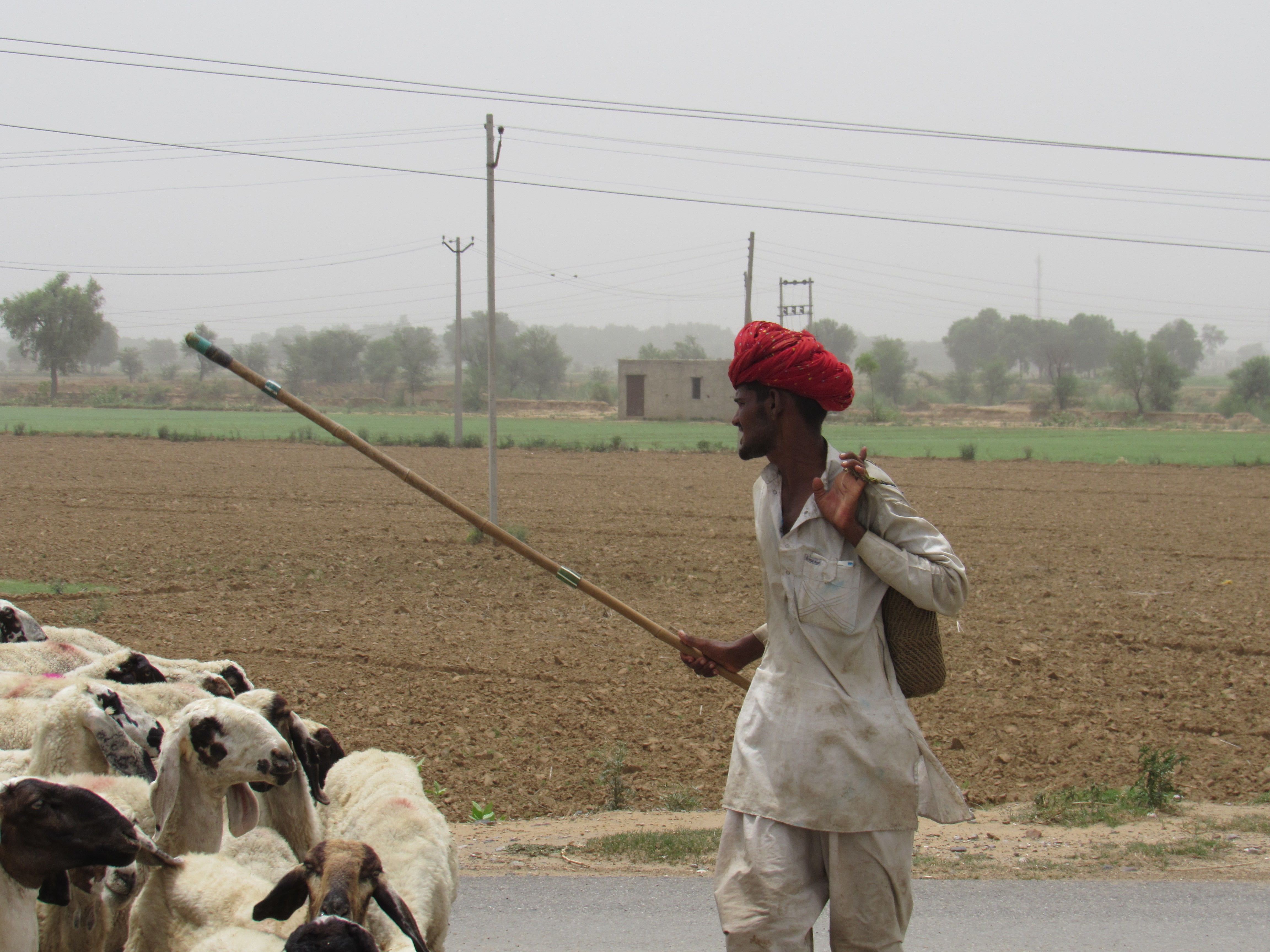 the road to Agra