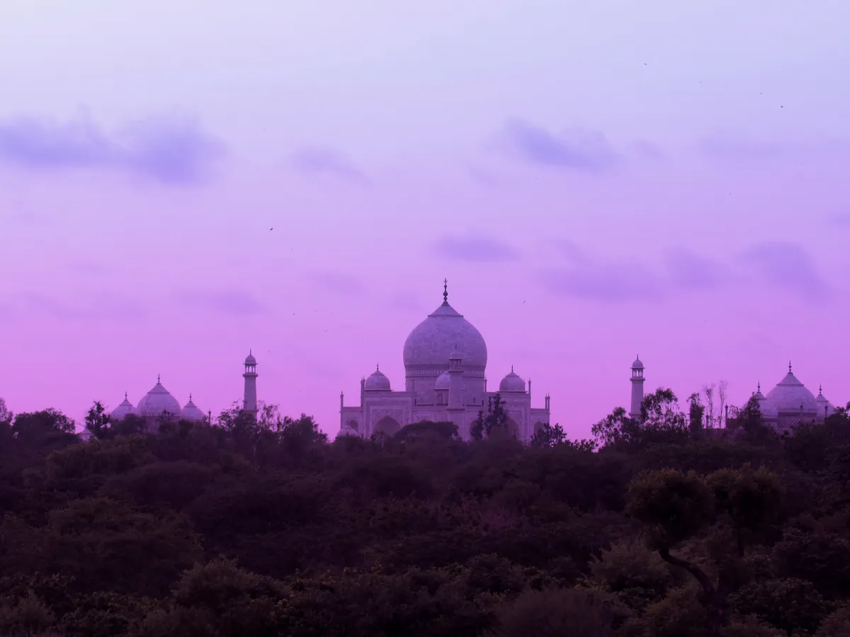 lavender twilight