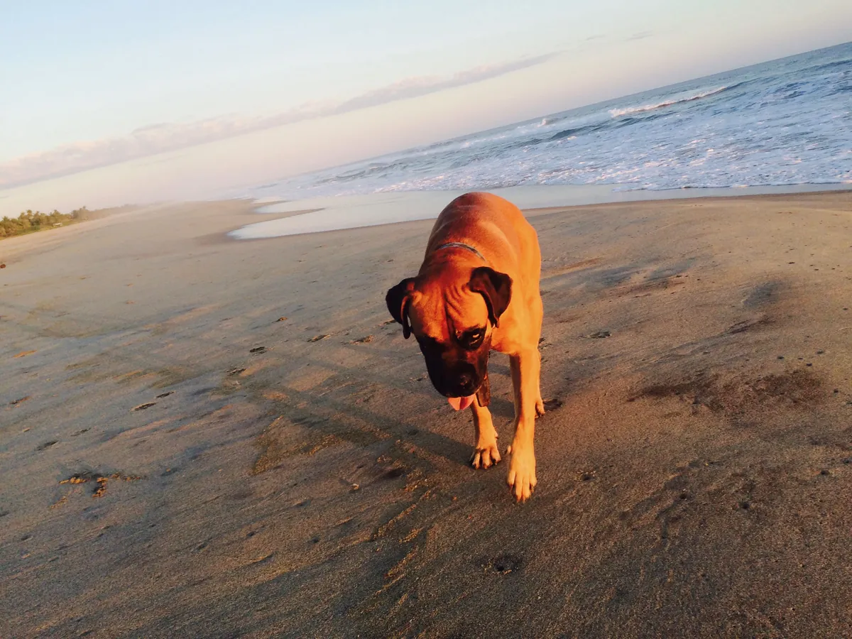 beach sunset