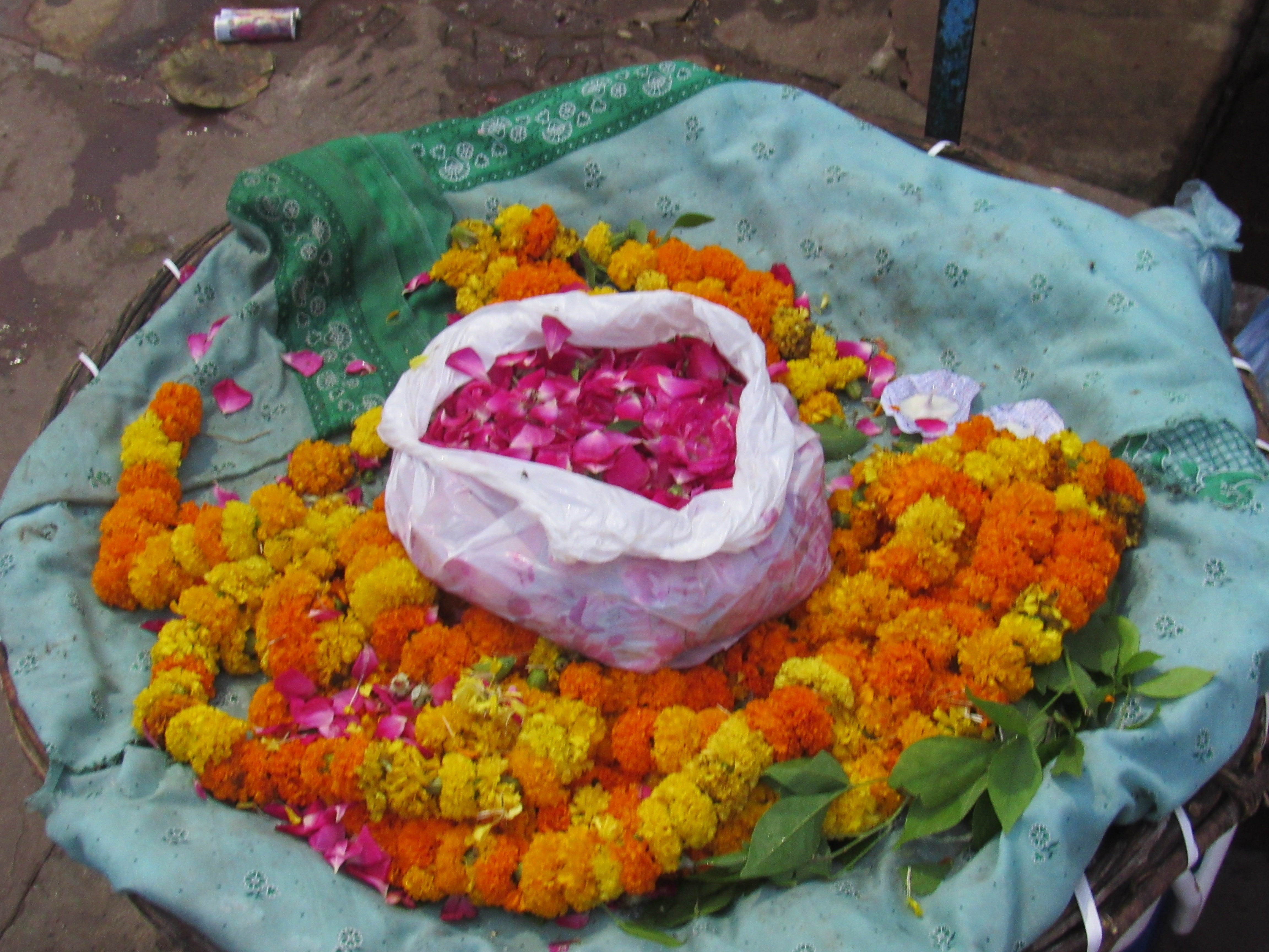 the flower petals