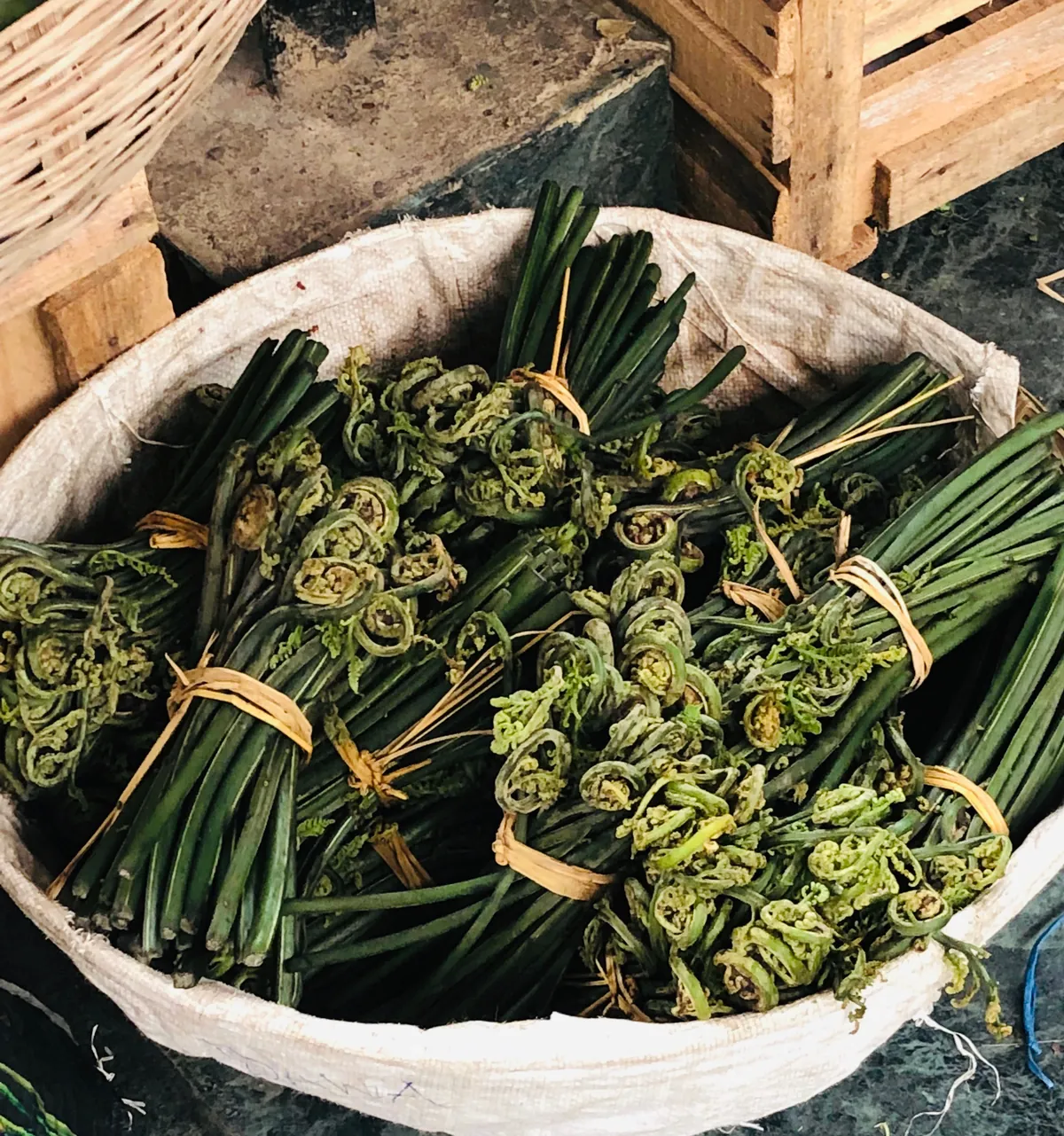 fiddleheads