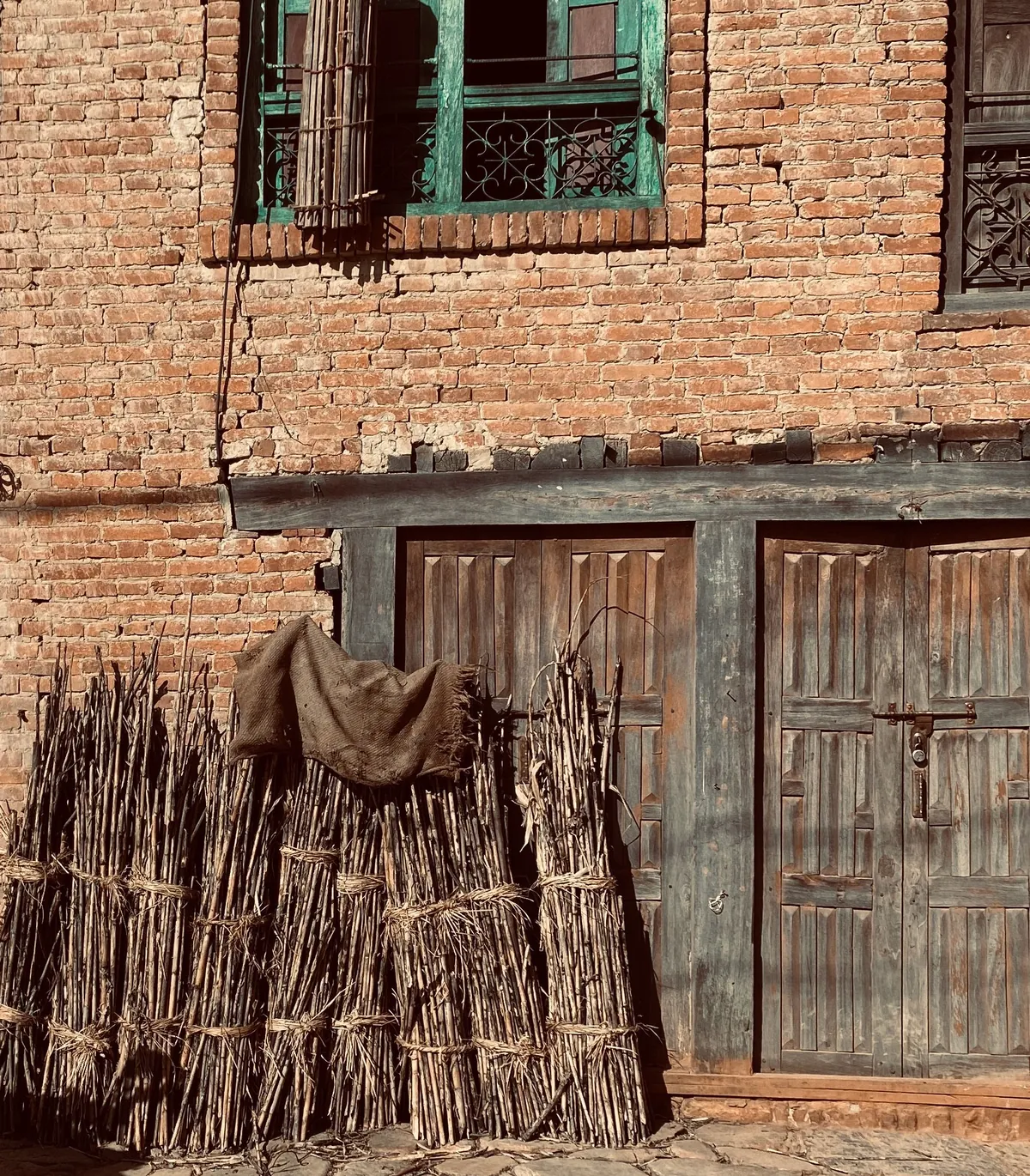 Cut Bamboo