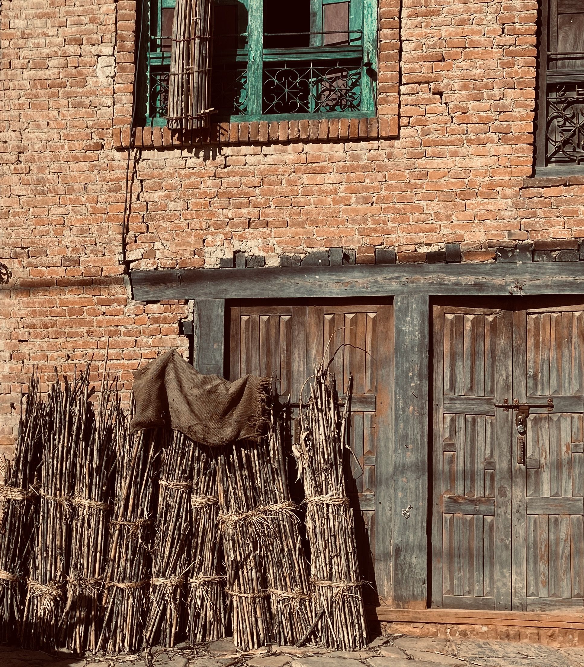 Cut Bamboo