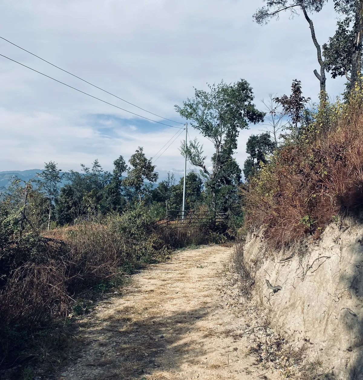 Temple path