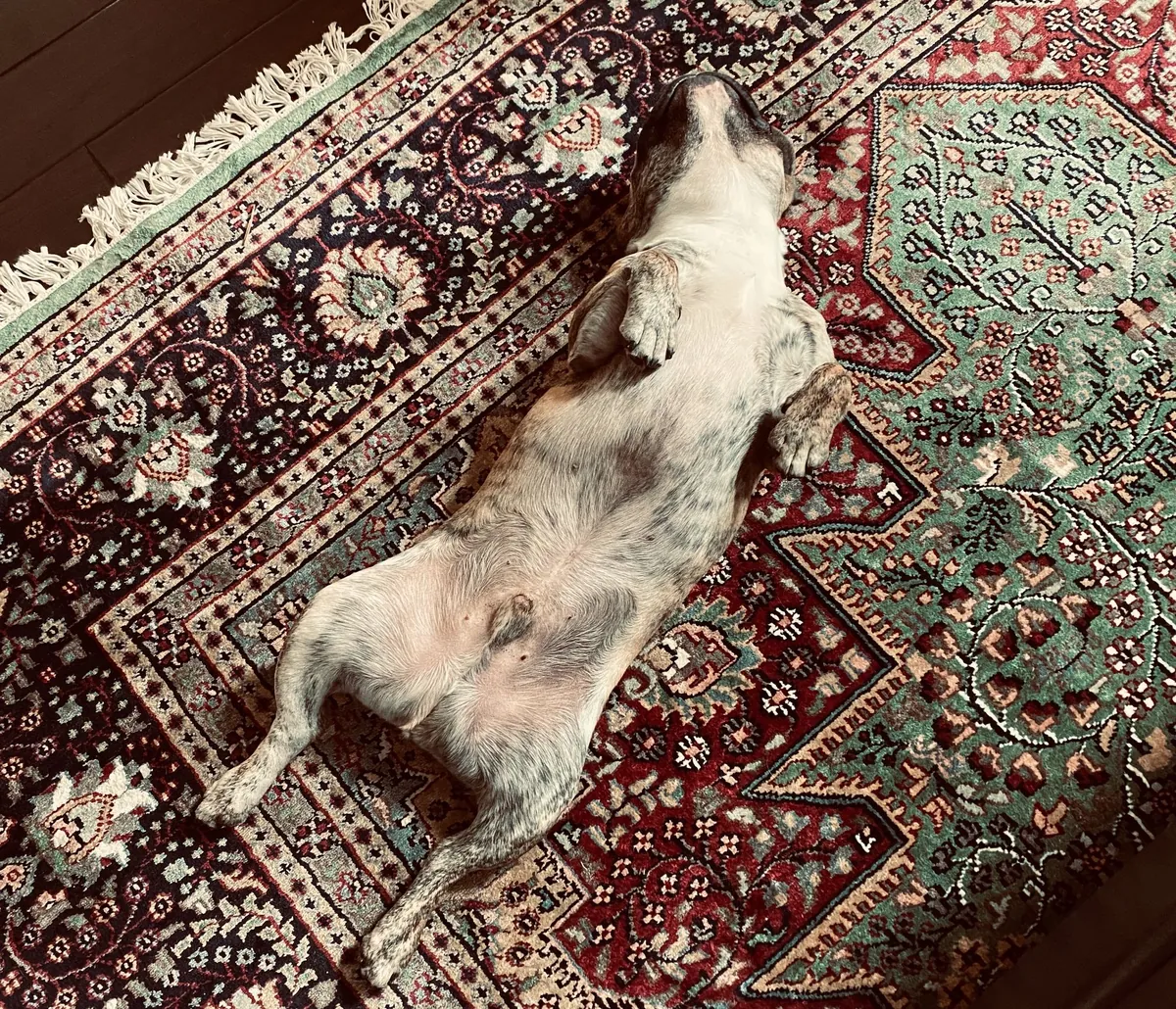 Napping