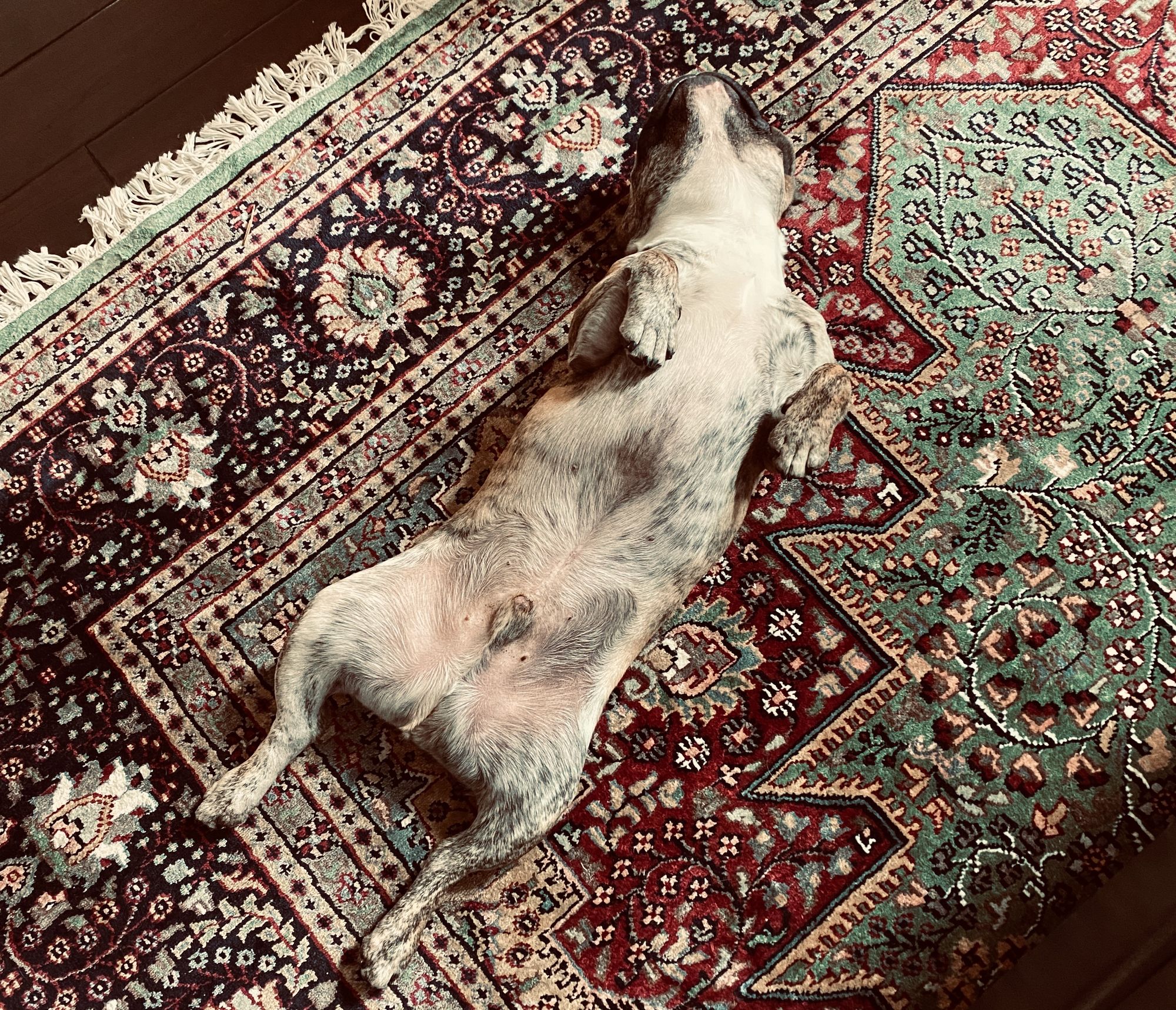 Napping