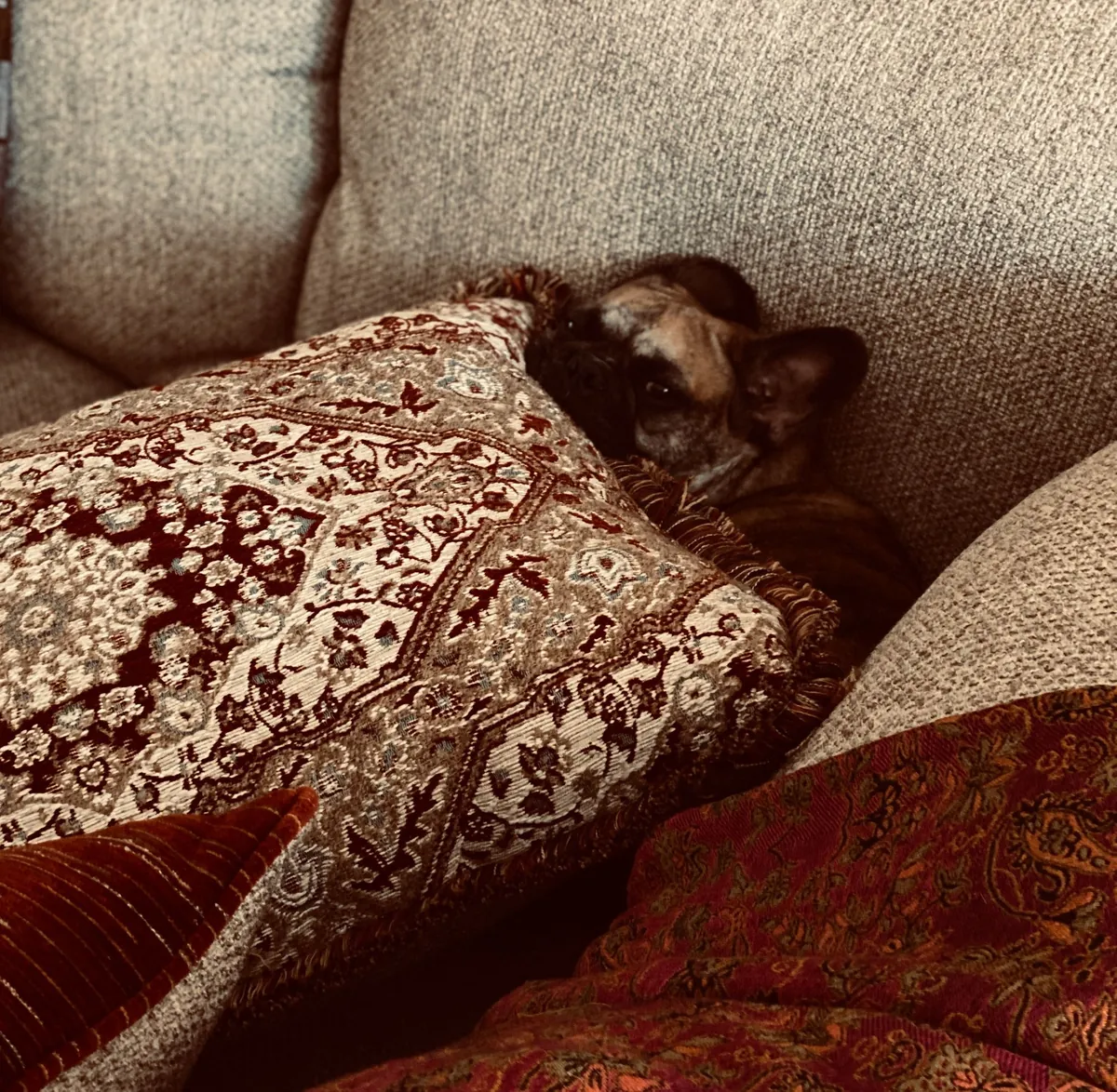 Hiding