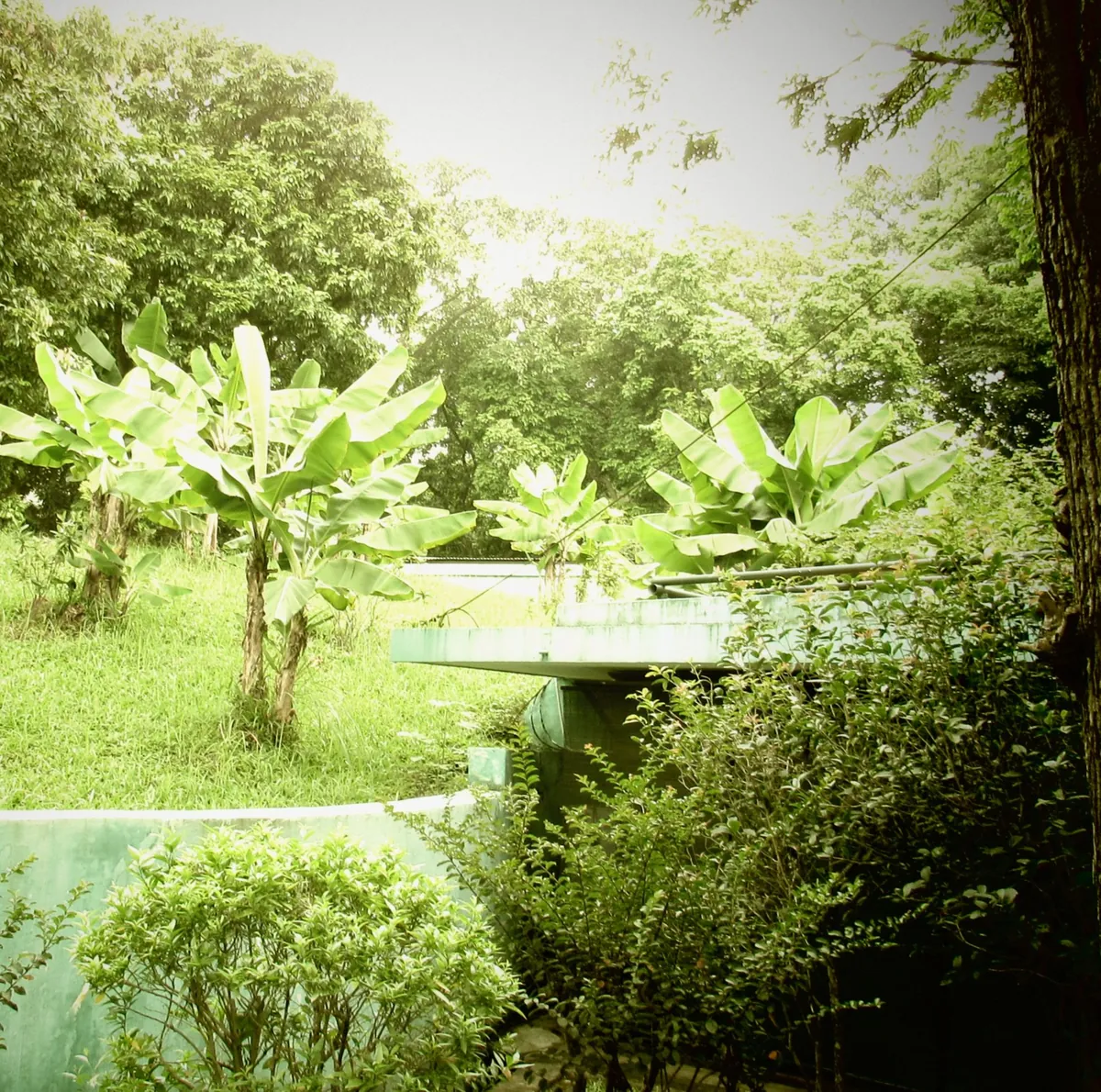 Peacetime