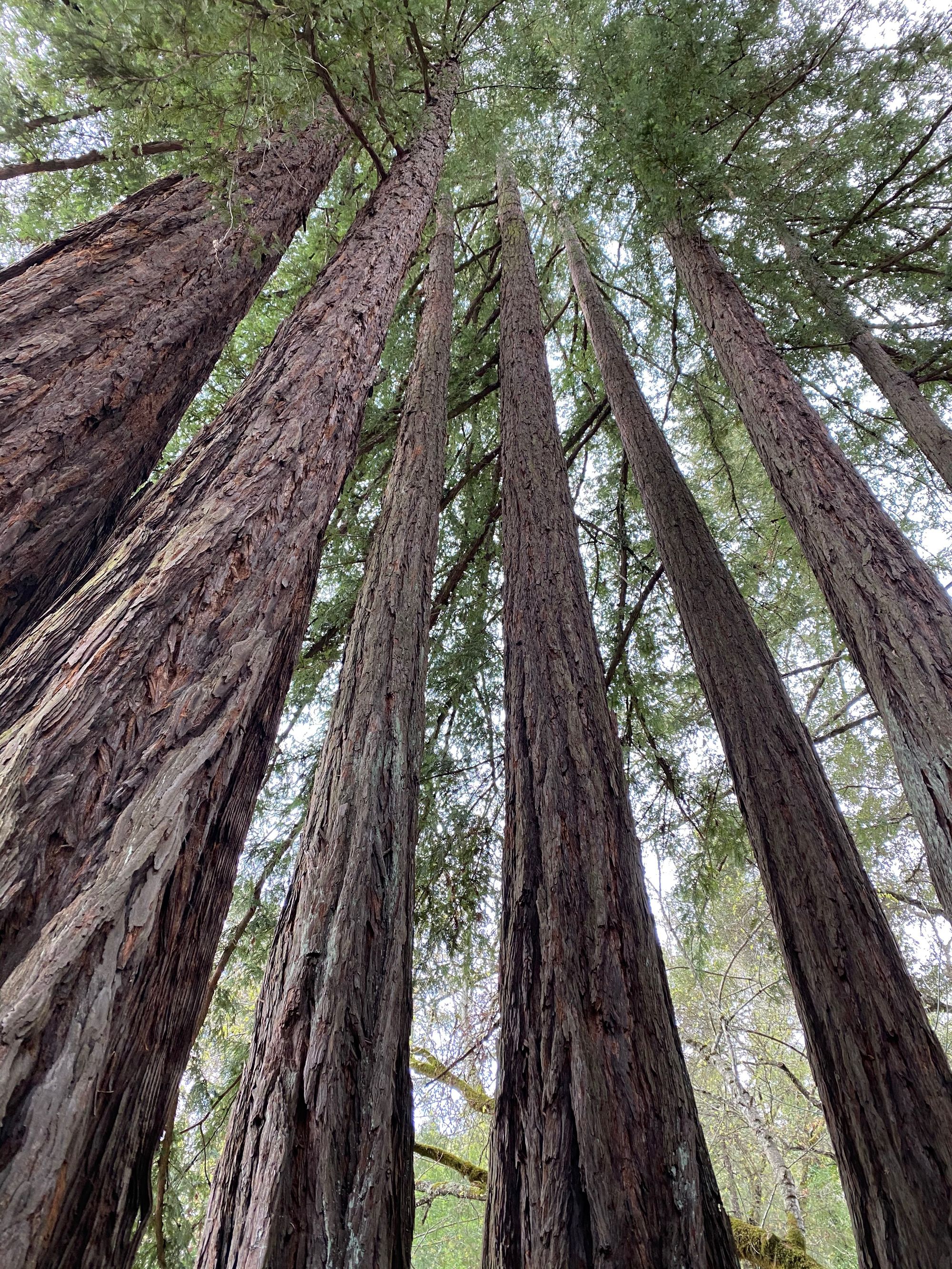 Hiking