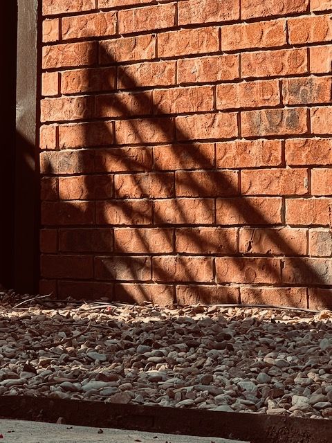 shadowed