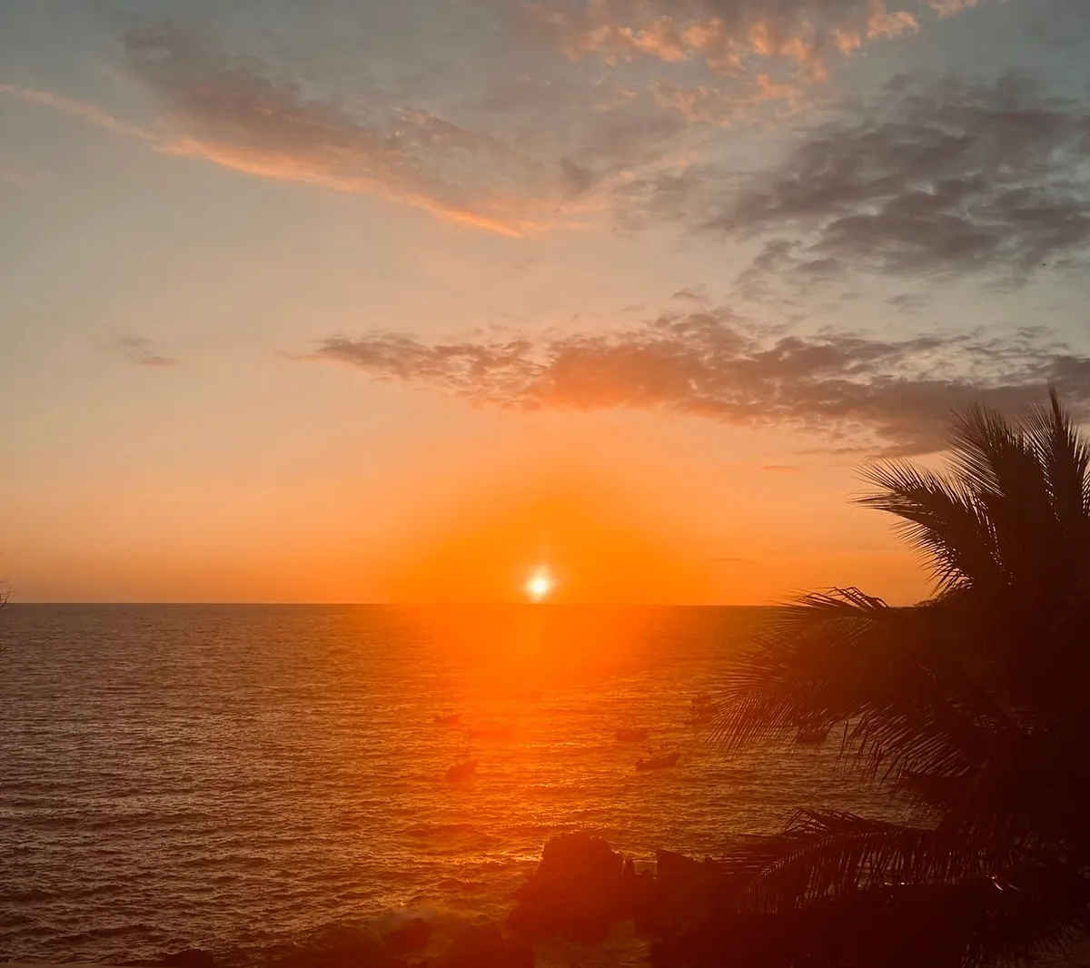 Tropical sunset